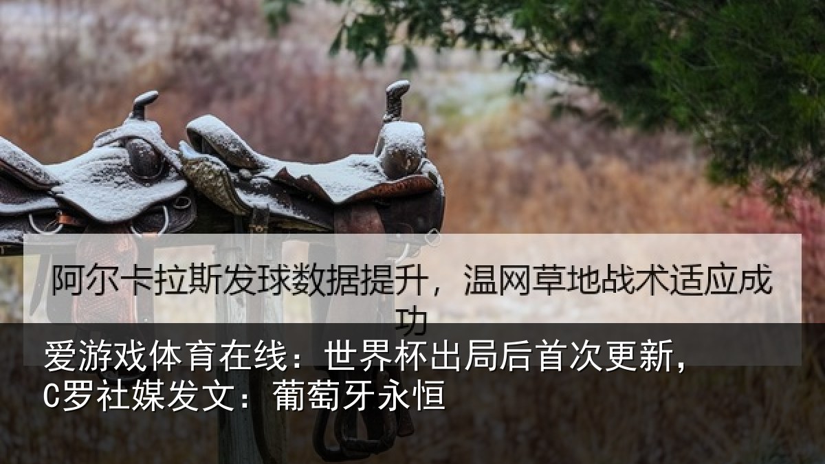 爱游戏体育在线：世界杯出局后首次更新，C罗社媒发文：葡萄牙永恒